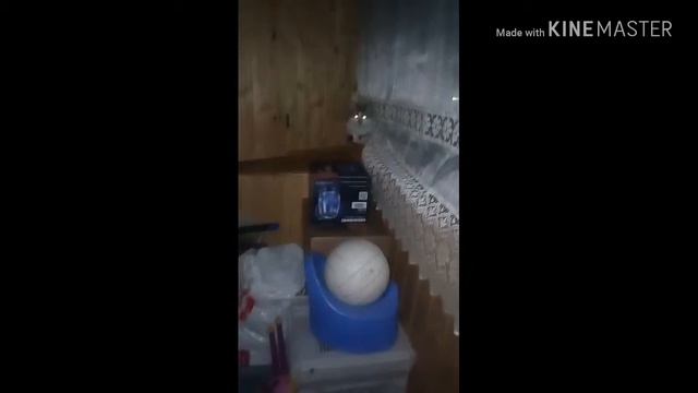 Подарок собаке смотреть онлайн