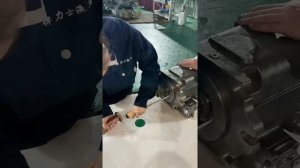 rexroth A4VG125 hydraulic pump repair assembly video