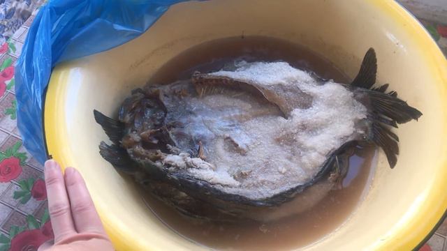Посол САЗАНА по ХУТОРСКИ смотреть онлайн
