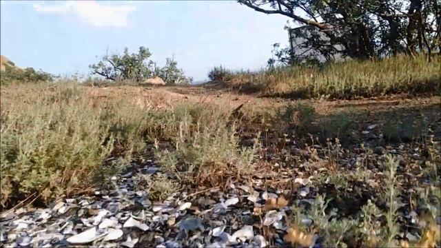 КРЫМ готовка дикого салата .Поход на рынок судак Меганом смотреть онлайн