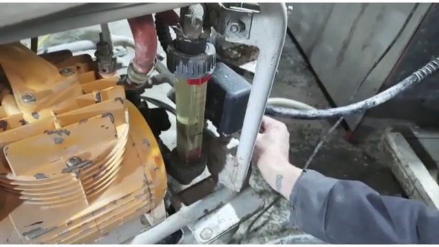 Продаем Пуцика через Авито смотреть онлайн