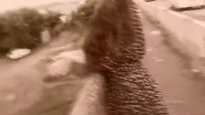 Браво - Ах эта девчонка 16-ти лет...