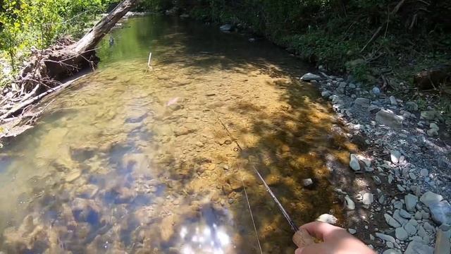 Основы голавлиной ловли на силиконовые приманки. Мои топовые приманки по голавлю. смотреть онлайн