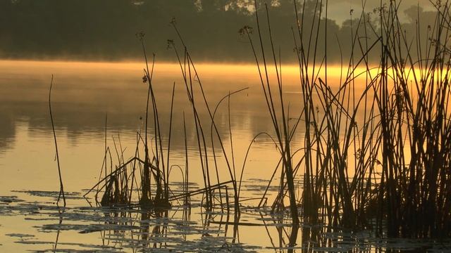 На Оке смотреть онлайн
