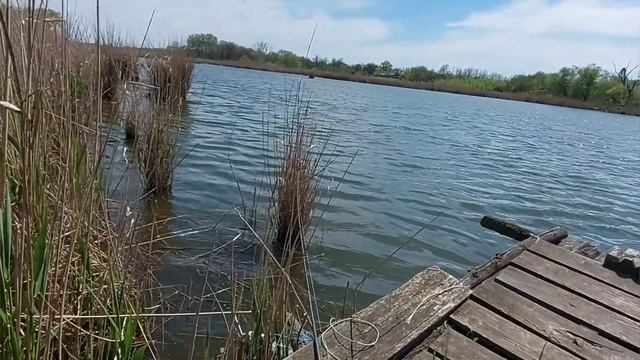 Рыбалка река Журавка Такого я не ожидал в конце апреля смотреть онлайн