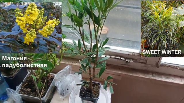Четвёртая, пятая и шестая посылки из Опт Хоза смотреть онлайн