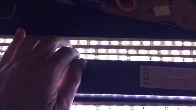 LED upgrade for Juwel Rio 240 смотреть онлайн