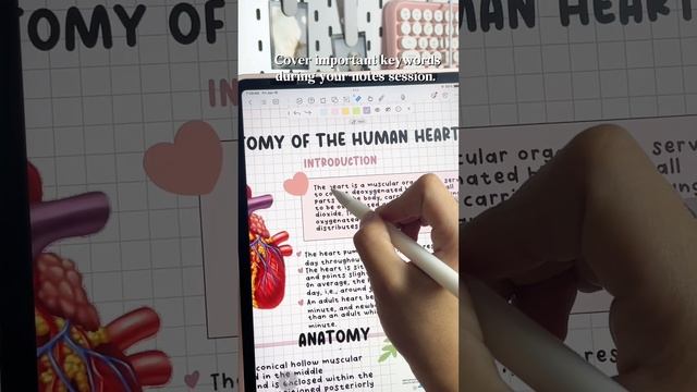 Top 3 Kilonotes Features You need to Study for Success! #kilonotes #study #android #iOS #update смотреть онлайн