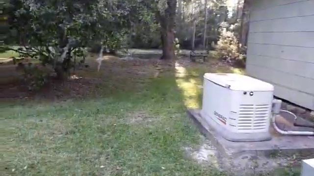 Grandma's Gardenias: Beginning Mandarin Chinese Listening