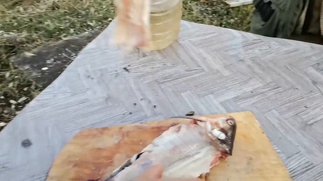 С чем едят сырую рыбу смотреть онлайн