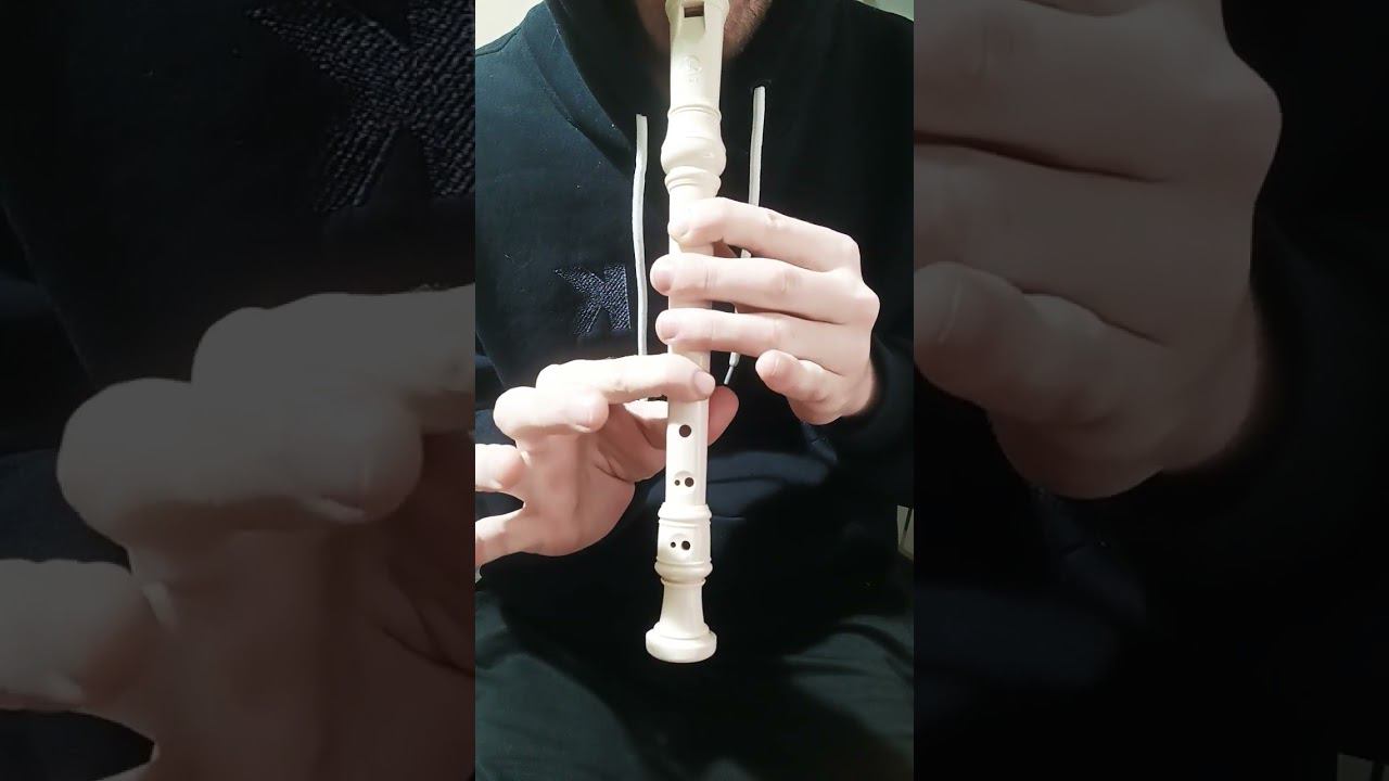 Skyrim: The Song Of The Dragonborn Recorder #shorts #cover #recorder