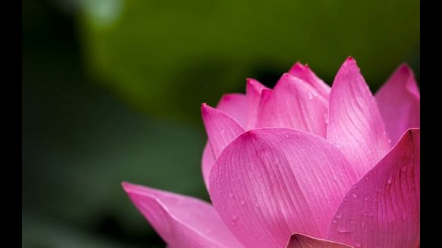 Kevin Kern Softly Falling (Oriental Wisdom II) смотреть онлайн