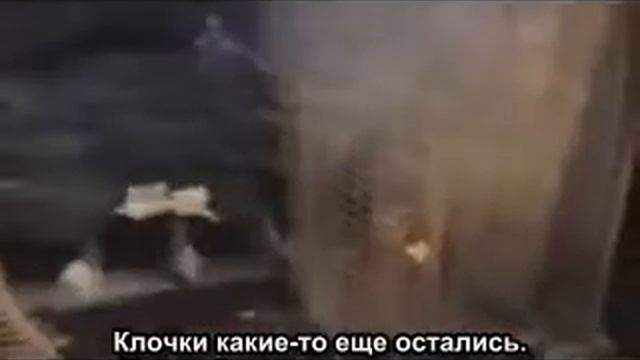 "Экскурсия с Даной Делани" (Дом Кэтрин) (RUS SUB) смотреть онлайн
