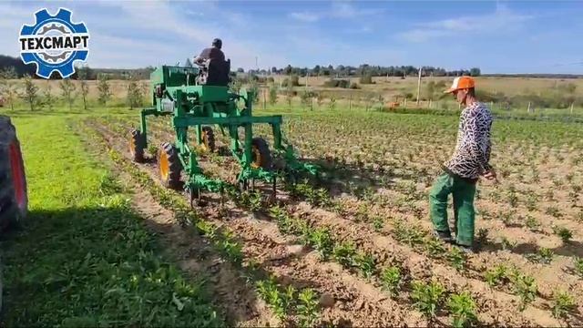 Егерь (Егорка) от AGROVEGA. Трактор с высоким клиренсом для обработки междурядий. смотреть онлайн
