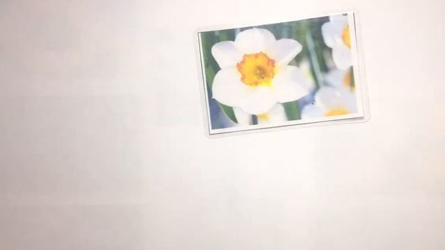 ЯК ВИВЧИТИ З ДИТИНОЮ НАЗВИ КВІТІВ? смотреть онлайн