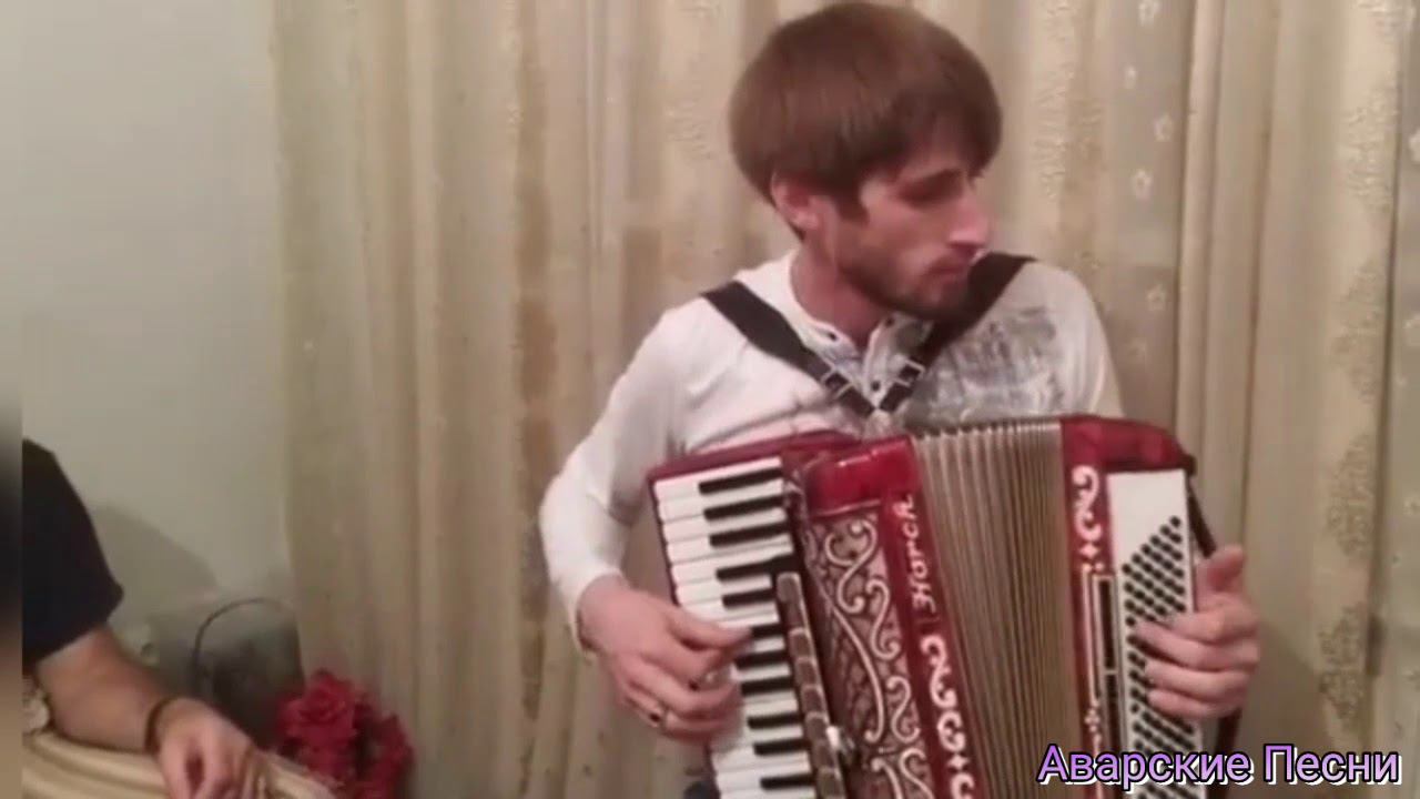 Аварская песня. Шамхал Гаджибегов, На баяне смотреть онлайн