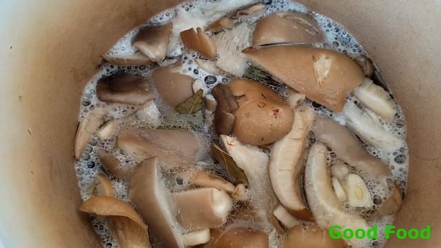 МАРИНУЕМ ГРИБЫ ВЕШЕНКИ. ВКУСНО И АРОМАТНО. ОТ ТАКОЙ ЗАКУСКИ ТРУДНО ОТКАЗАТЬСЯ! смотреть онлайн