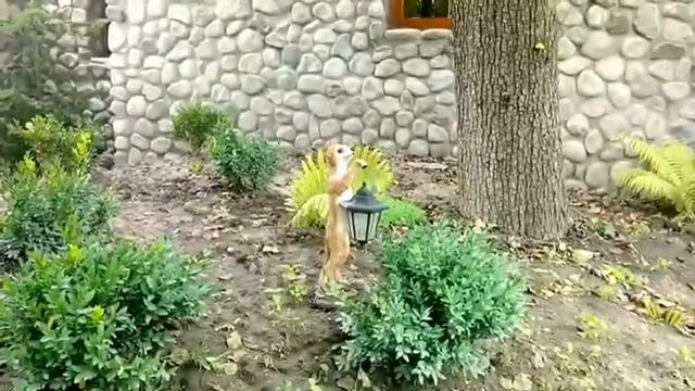 Сказочный замок для свадебных торжеств в Усадьбе Орехово смотреть онлайн