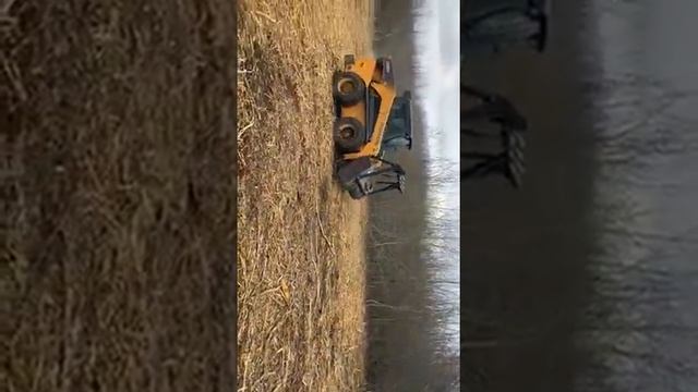 Мульчер смотреть онлайн