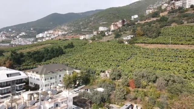 ЖК New Level Kleopatra 1 в центре Алании | Турция | Виды из жилого комплекса смотреть онлайн