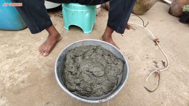 বাড়ির ছাদে টবে পদ্ম ফুলের চারা রোপন ও মাটি প্রস্তুতি । How To Grow Lotus In Container & Soil Mix|