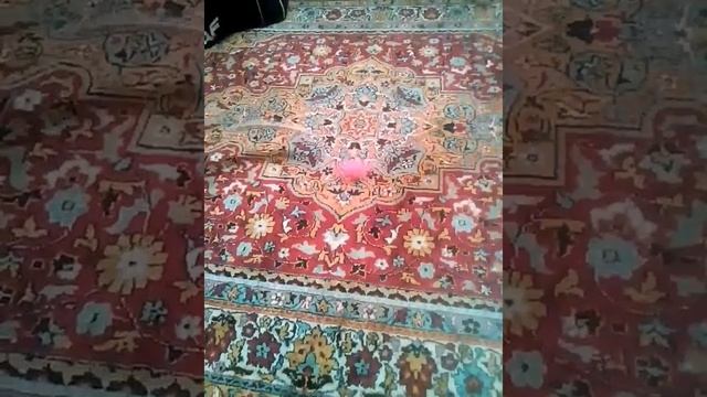 Дриблинг с мячом. Упражнения для кистей. Хоккейупражнения дома с клюшкойдетский хоккеей мяч