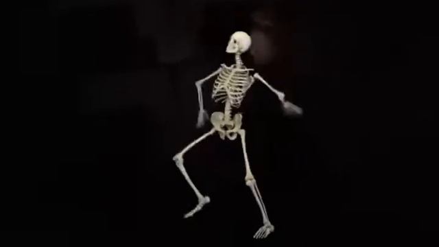 Танцуют скелет 2018😀😀😀😀💀💀💀💀💀 смотреть онлайн
