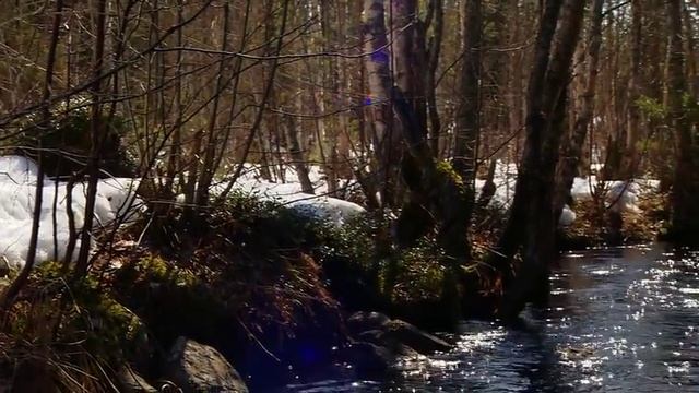 Wild Russia Ural Part 1 with English subtitles смотреть онлайн