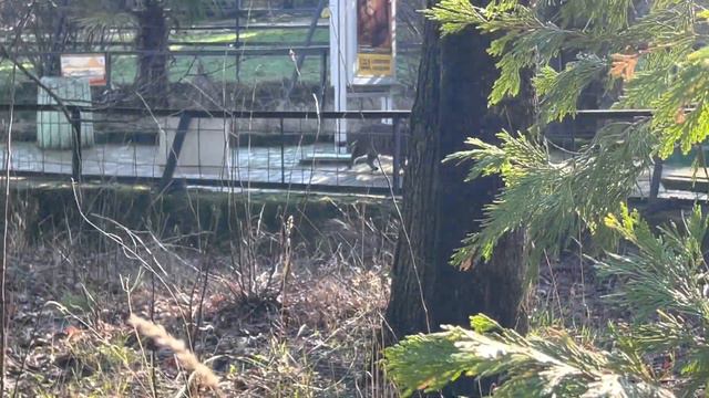 Новые встречи в Сказке!😊☀️❤️❤️❤️ смотреть онлайн