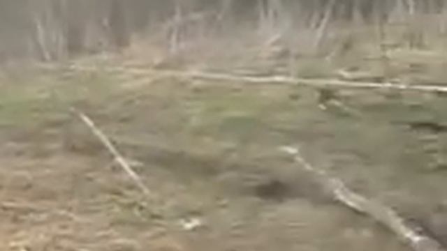 шеви нива.поле.топь.болото.4х4. смотреть онлайн