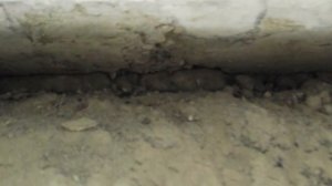 Штробление стыков плит.  Для дальнейшей герметизации.