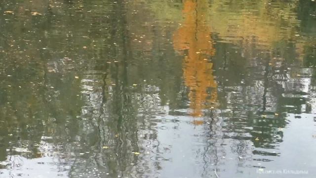 Александр Суханов. Песня " Осенний клен " смотреть онлайн