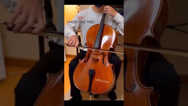 #attackontitan #underthetree #sim #cello #cover смотреть онлайн