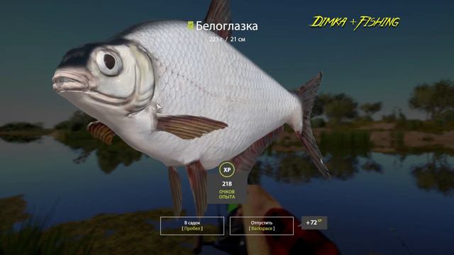 Русская рыбалка 4.🎣🦈 р. Ахтуба 🐚🐚 💦 ТРОФЕИ от LATORSO 👀 смотреть онлайн