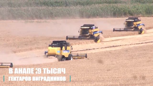 С днём рождения, любимый город! смотреть онлайн