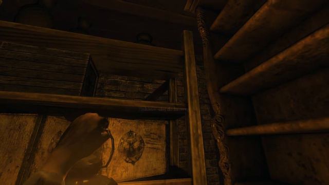 Amnesia Amadeus [Full Walkthrough] Czech Version