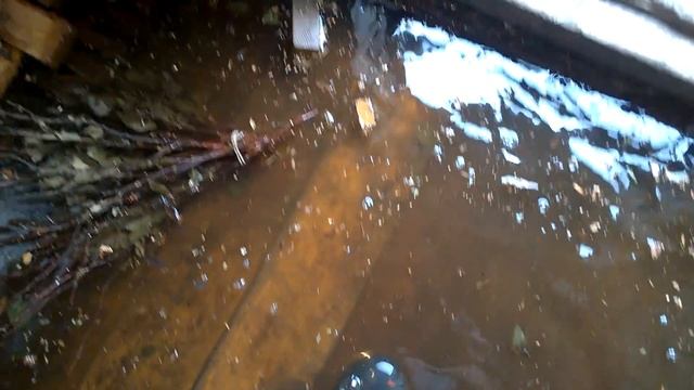Ну совсем нас затопили талые воды
