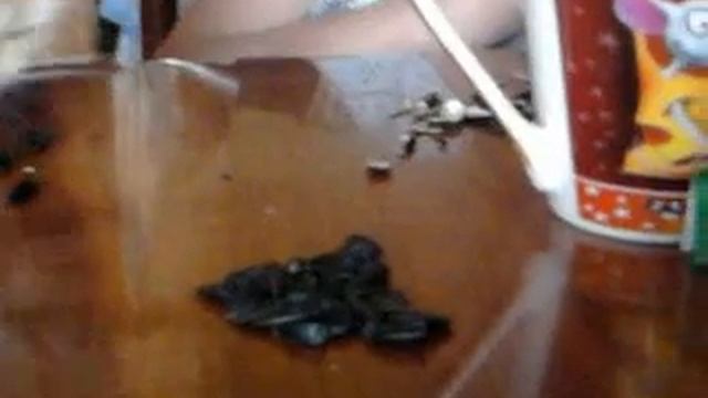 Любитель семечек 2 смотреть онлайн