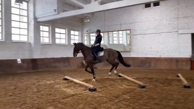 Конкурное упражнение 😏 Часть 2 смотреть онлайн