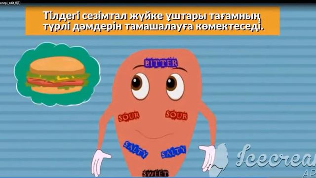 Жаратылыстану 4-сынып. Жүйке жүйесінің маңызы смотреть онлайн