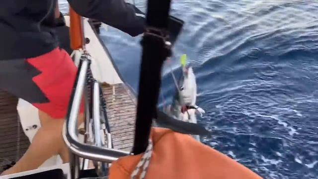 SY Black Diamond #1 Offshore (Открытое Море) смотреть онлайн