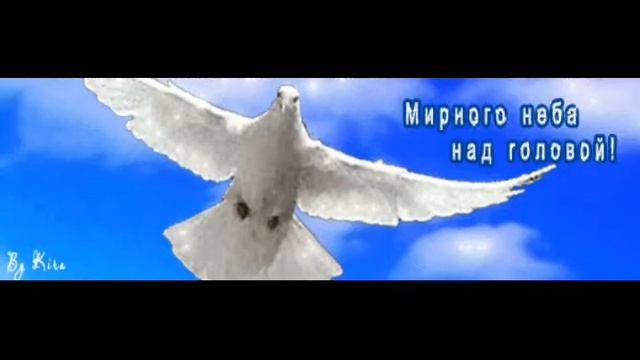 голуби  вы передайте  привет