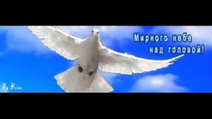 голуби  вы передайте  привет