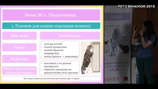 Знакомство кошки с собакой. Подготовка. смотреть онлайн