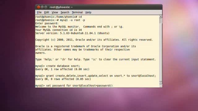 How to Install IDS(Intrusion Detection Server) on Ubuntu 10.04 смотреть онлайн