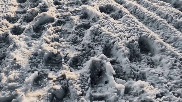 VID 20221219 114729 Сирия (Эудженио Монтале)...Павел Васильев Лахтинский смотреть онлайн