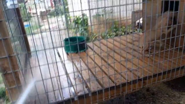 3 The Hardway смотреть онлайн