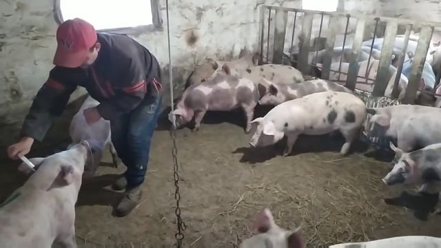 Раньше Боялся Делать а Сейчас Легко. Супер Способ смотреть онлайн