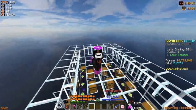 This *NEW* MINION SETUP Makes 5M+ Coins PER DAY! | Hypixel Skyblock смотреть онлайн