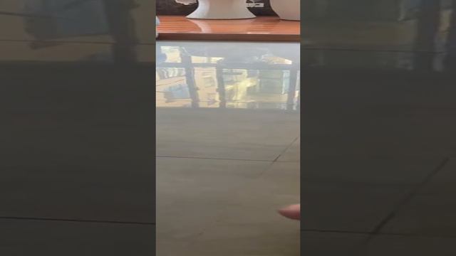 Широкий Котенок смотреть онлайн